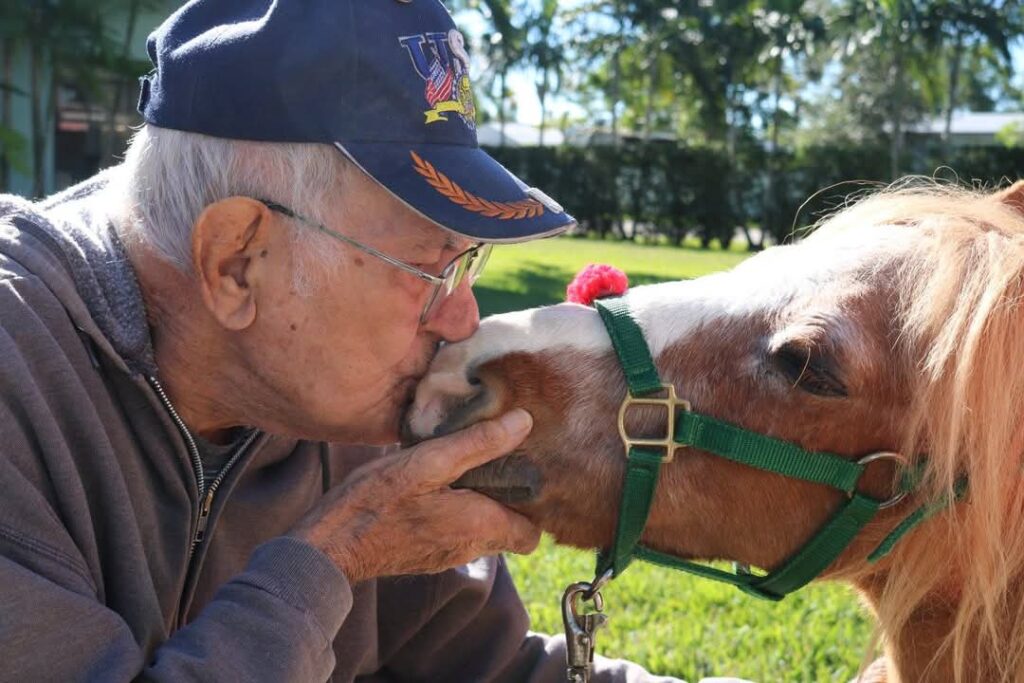 Personal Ponies - Best of 2024