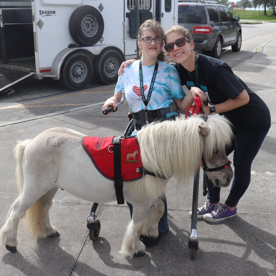 Personal Ponies - Coral Glades High School