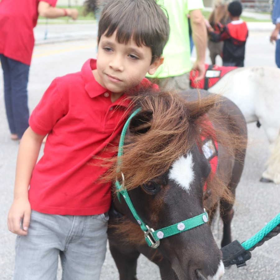 Personal Ponies - Deerfield Beach Elementary