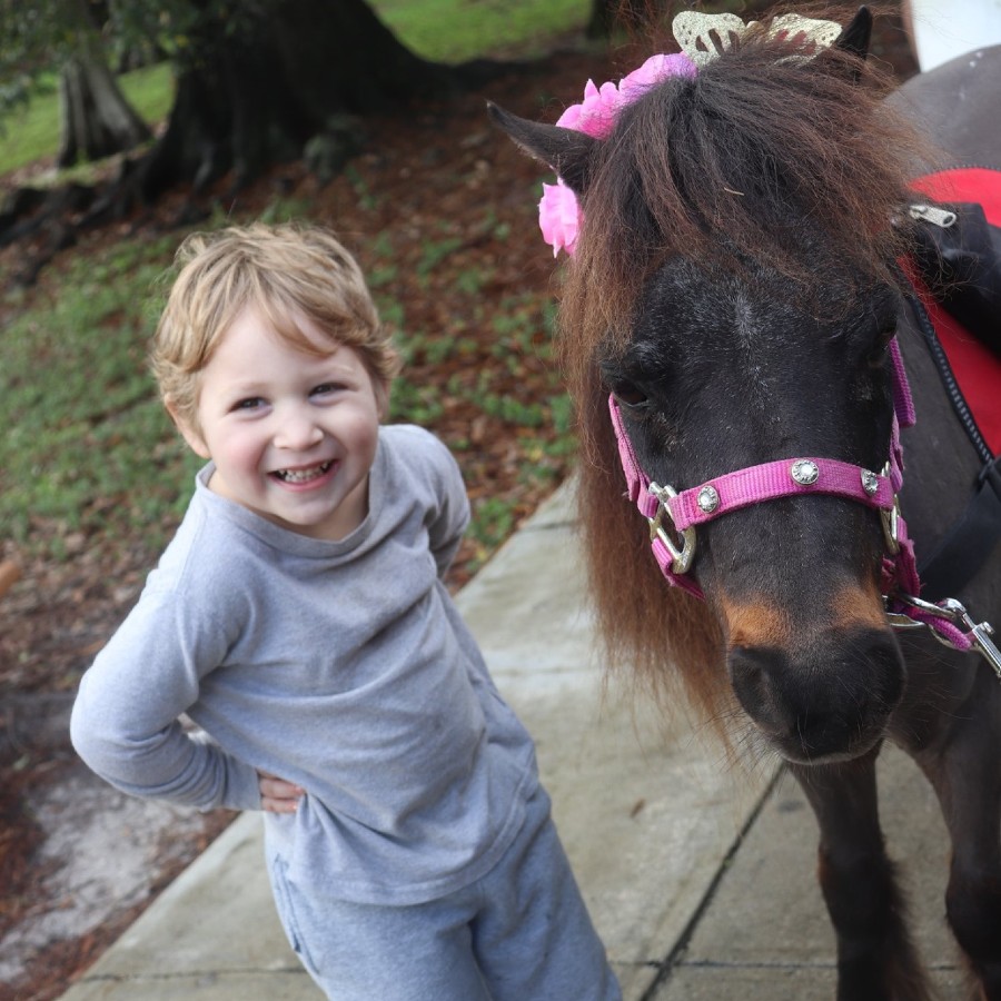 Personal Ponies 2018 Poster Child