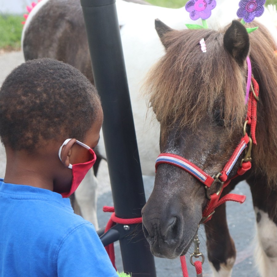 Personal Ponies & SOS Children's Village