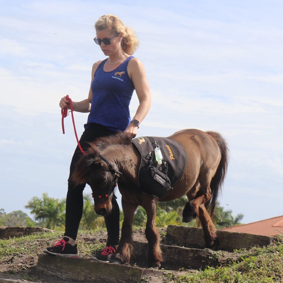 Personal Ponies Volunteer Appreciation